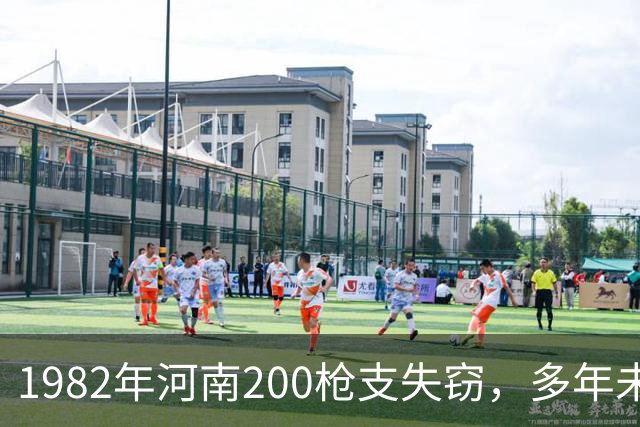1982年河南200枪支失窃，多年未破，一退休干警查出真相，遭灭口